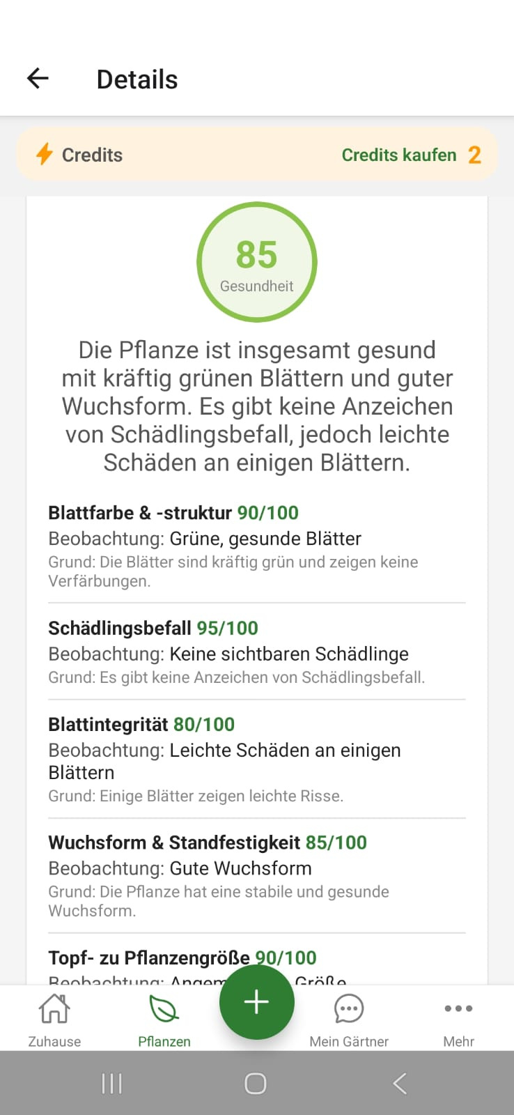 FloraPilot Gesundheitscheck mit Score und Begruendung