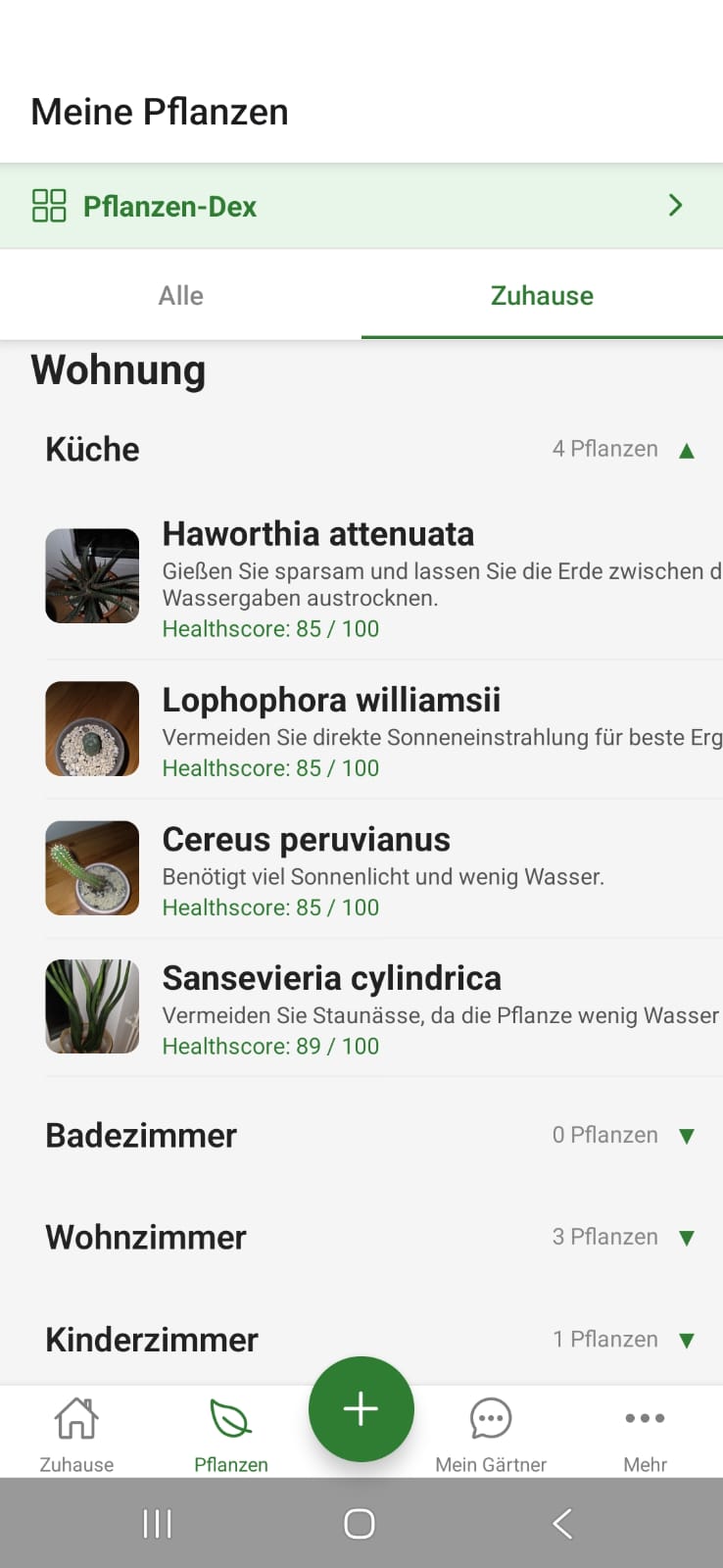 FloraPilot Pflanzenliste nach Raeumen gruppiert
