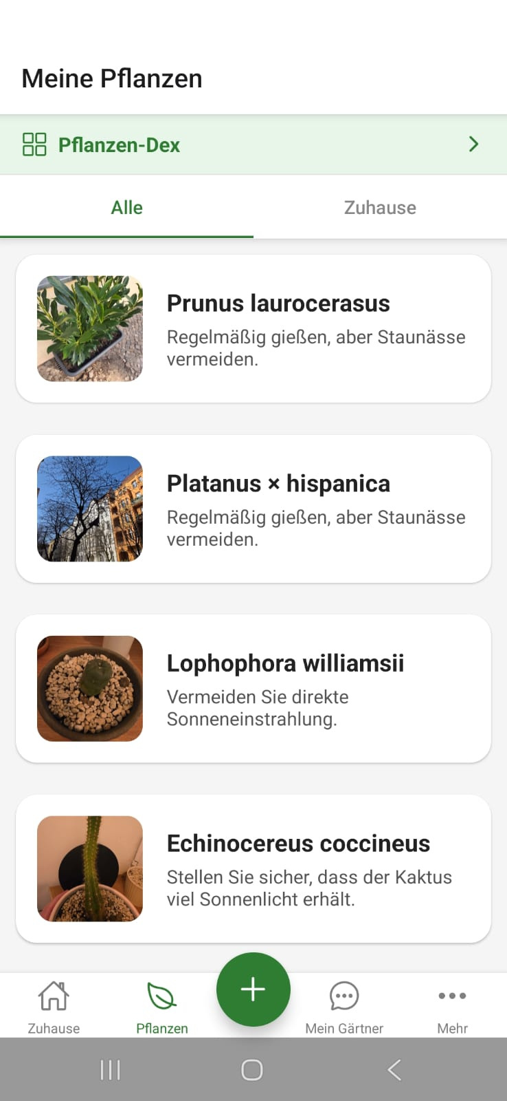 FloraPilot Pflanzenuebersicht mit botanischen Namen und Pflegehinweisen